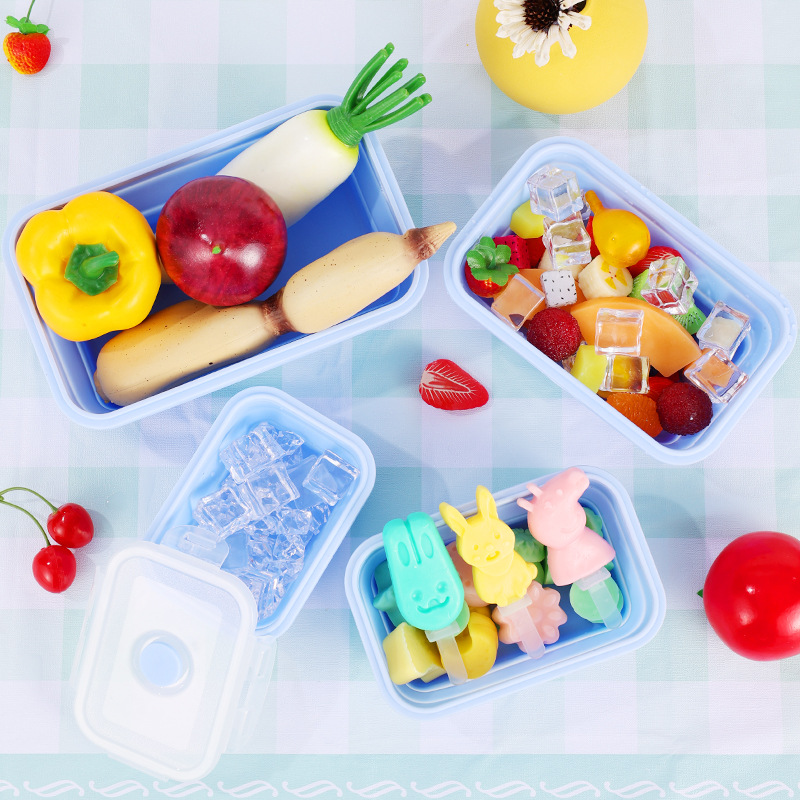 4PS Collapsible Food Storage C - Meal Prep Kit review and price