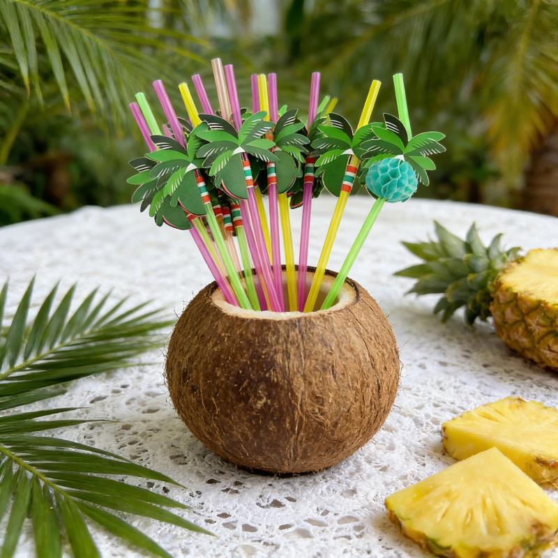 Natural Coconut Bowl Set Organ - Meal Prep Smoothies review and price