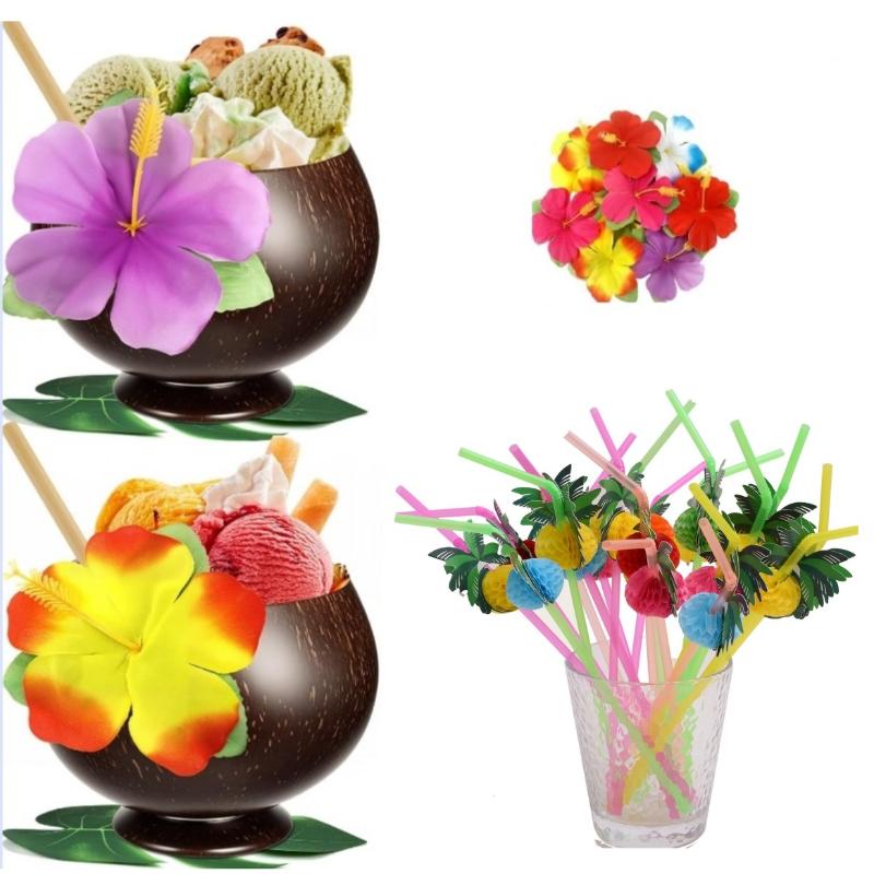 Natural Coconut Bowl Set Organ - Meal Prep Smoothies review and price